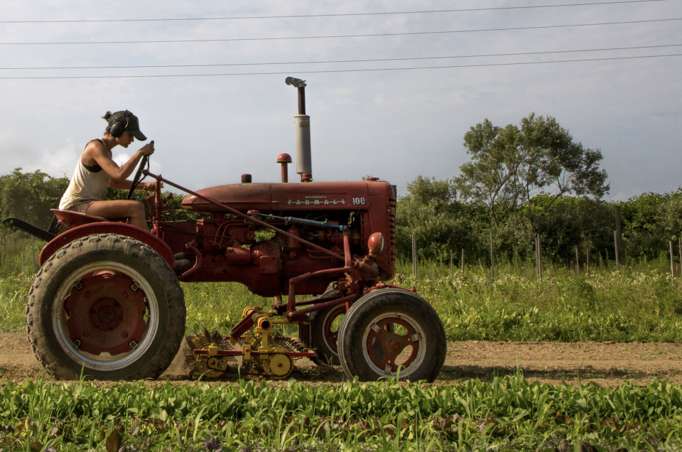 Farmer Isabel Milligan drives a tractor as she weeds and transplants crops on the farm in Amagansett, New York, U.S., July 11, 2019. (Photo: REUTERS/Lindsay Morris)