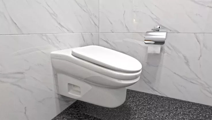 Would you sit on this throne? Image: StandardToilet