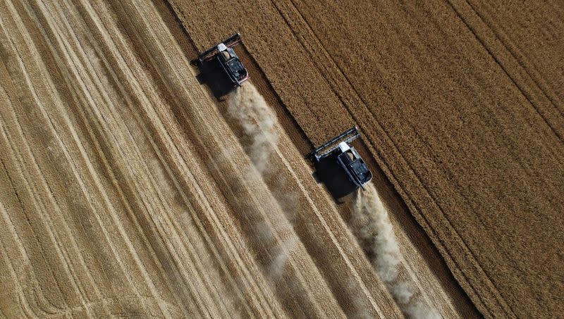 Wheat harvest in Russia's Rostov Region