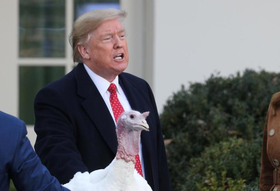 Trump hosts pardons a turkey on Tuesday at the White House.