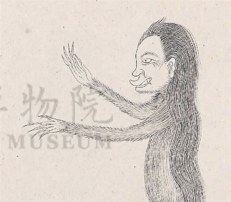 《本草綱目》中的「狒狒」圖像。（圖／擷取自國立故宮博物院臉書粉專）