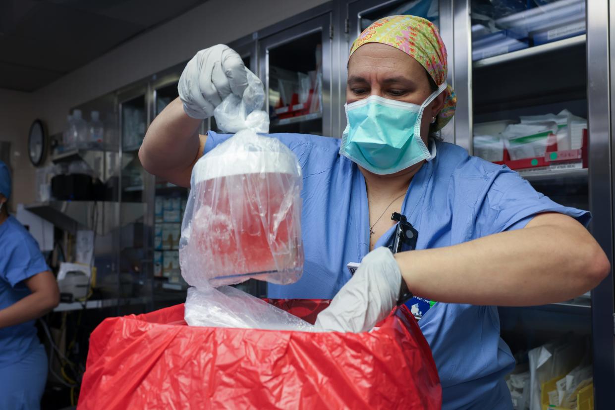 Nursing Practice Specialist Melissa Mattola Kiatos removes the pig kidney from its box to prepare for transplantation at Massachusetts General Hospital in March 2024.