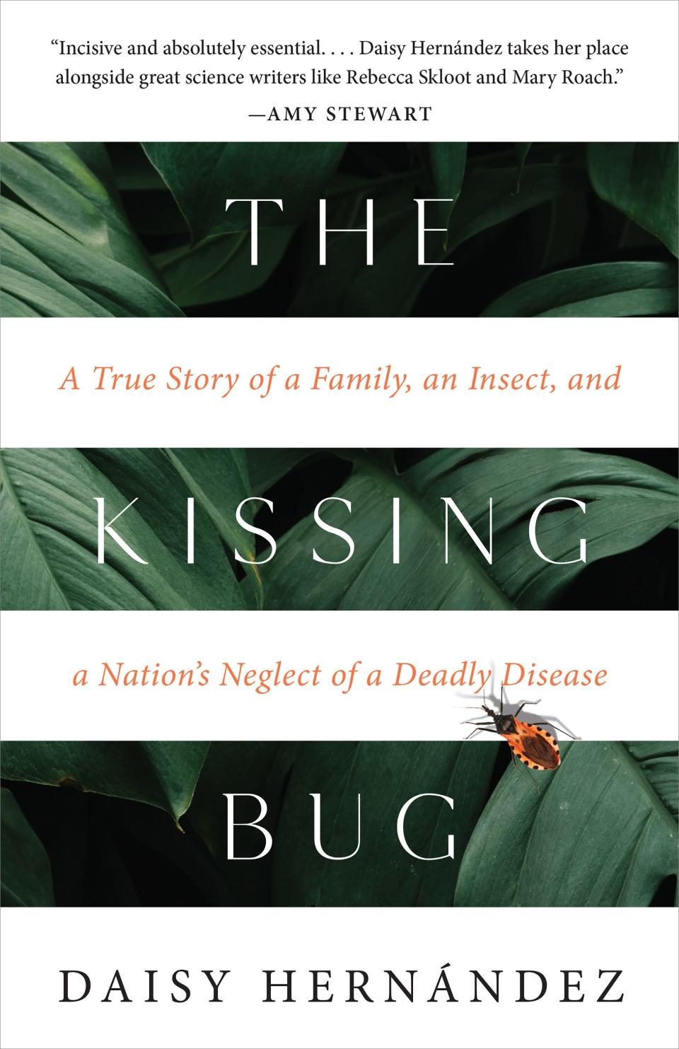 A cover of Daisy Hernández’s “The Kissing Bug” that shows a orange and brown changas bug on green plants.