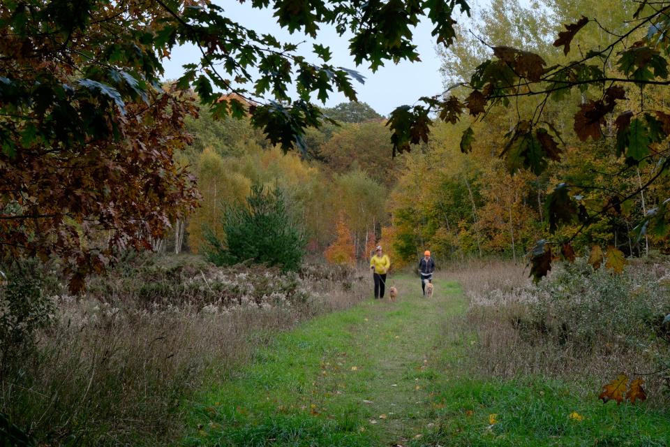 Two people walk dogs on the Elmer Johnston Nature Preserve near Good Hart.