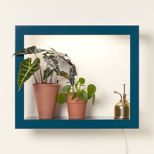 14) Grow Light Shelf