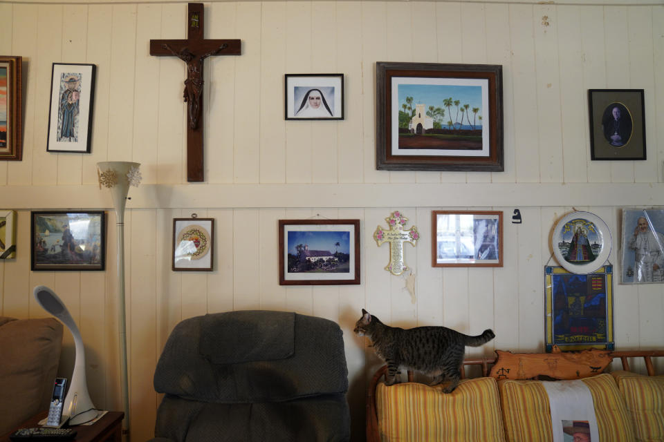 A cat walks across the back of the Rev. Patrick Killilea's couch on Kalaupapa, Hawaii, on Tuesday, July 18, 2023. Photographs of Saint Damien, Saint Marianne and St. Philomena Church line the wall of Killilea's home on the peninsula. (AP Photo/Jessie Wardarski)