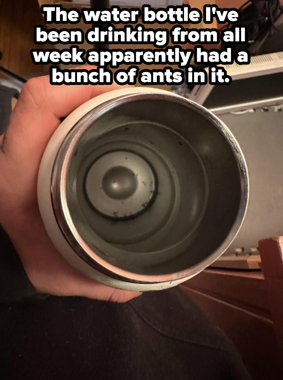 Person holding an empty stainless steel water bottle with a small indentation at the bottom and small, dark dots at the bottom, with caption, "The water bottle I've been drinking from all week apparently had a bunch of ants in it"