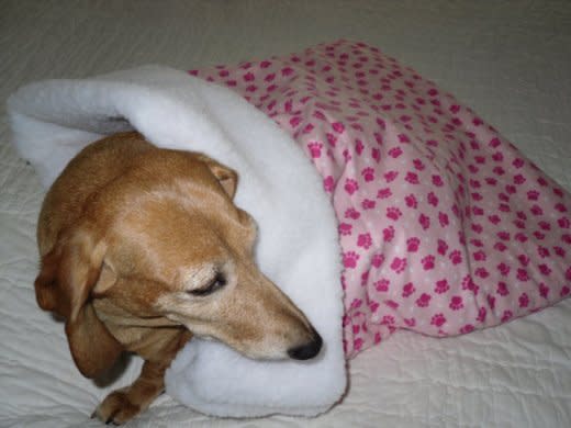 Pawprint Dog Sleeping Bag