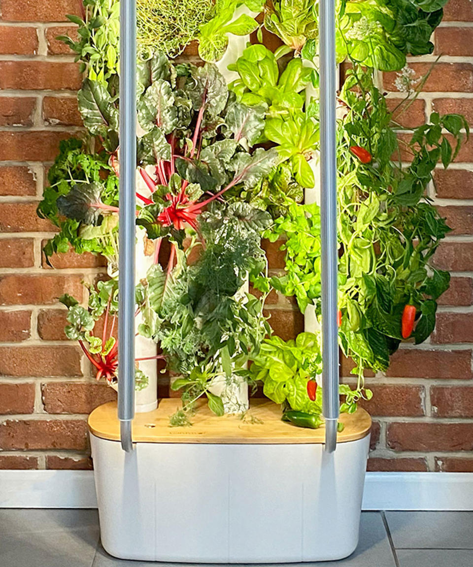 grow tower with grow lights in apartment