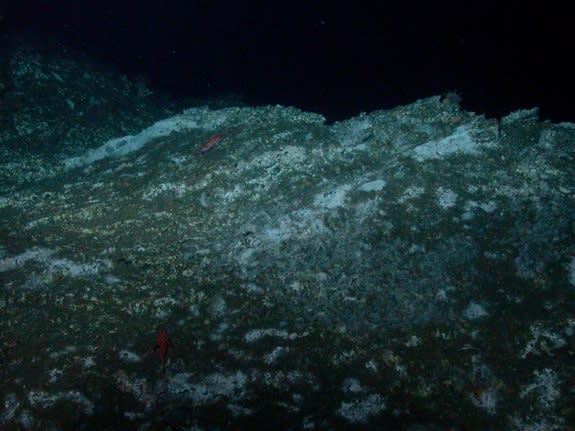 Towering carbonate rocks rise hundreds of feet off the seafloor at Hydrate Ridge off the coast of Oregon. New research finds that these rocks are home to microbes that live off of methane bubbling from below the ocean floor.