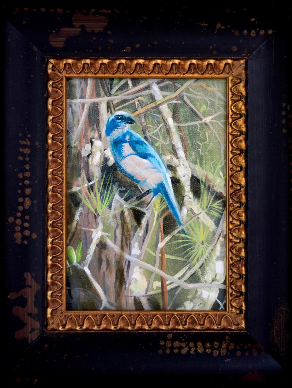 A painting of a Florida scrub jay is part of  the 'Paul Gervais - An Endangered Landscape; Recent Paintings of the Hypoluxo Scrub' exhibit.
