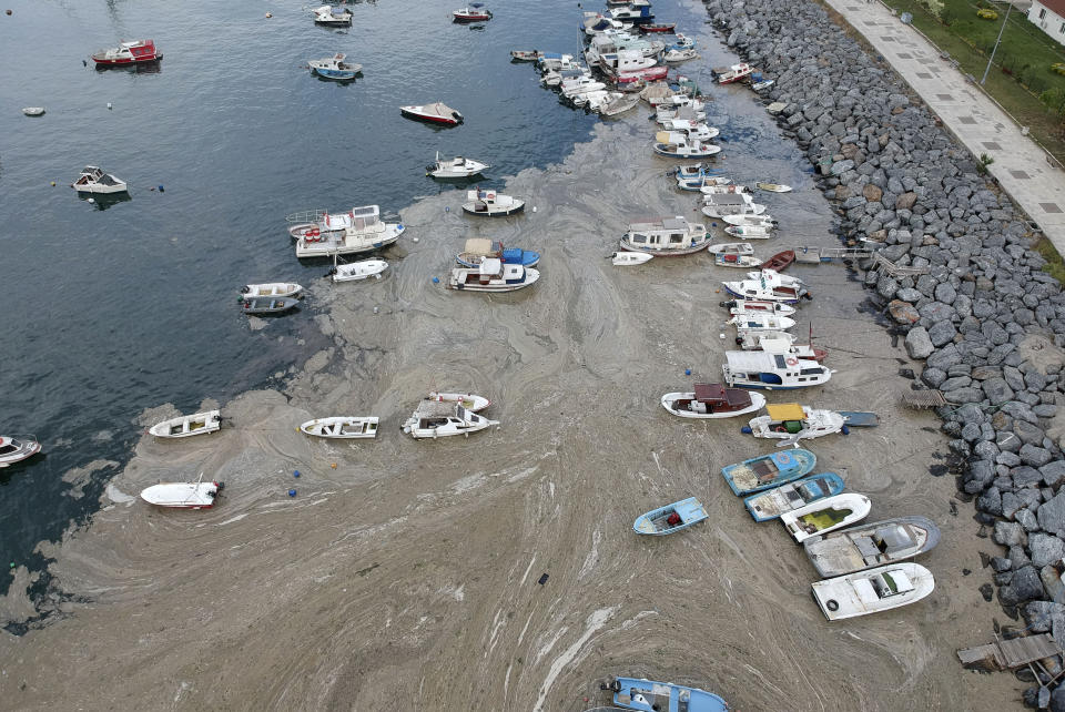 An aerial photo of Pendik port in Asian side of Istanbul, Friday, June 4, 2021, with a huge mass of marine mucilage, a thick, slimy substance made up of compounds released by marine organisms, in Turkey's Marmara Sea. Turkey's President Recep Tayyip Erdogan promised Saturday to rescue the Marmara Sea from an outbreak of "sea snot" that is alarming marine biologists and environmentalists. Erdogan said untreated waste dumped into the Marmara Sea and climate change had caused the sea snot bloom. Istanbul, Turkey's largest city with some 16 million residents, factories and industrial hubs, borders the sea.(AP Photo)