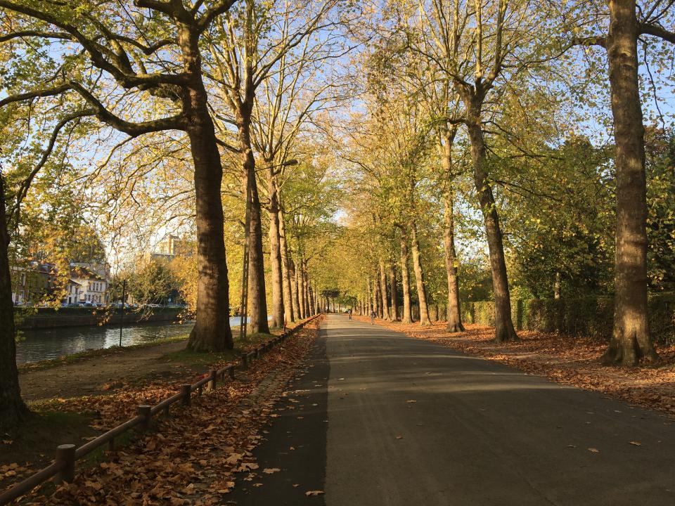 Jardin des plantes, jardin Vauban, jardin écologique... En 2019, Lille s'est lancée dans la course pour devenir "Capitale verte européenne" en 2021. Finaliste de ce prix, la Ville s’est engagée à poursuivre la mobilisation des acteurs locaux pour accélérer la transition écologique et énergétique du territoire. <br>