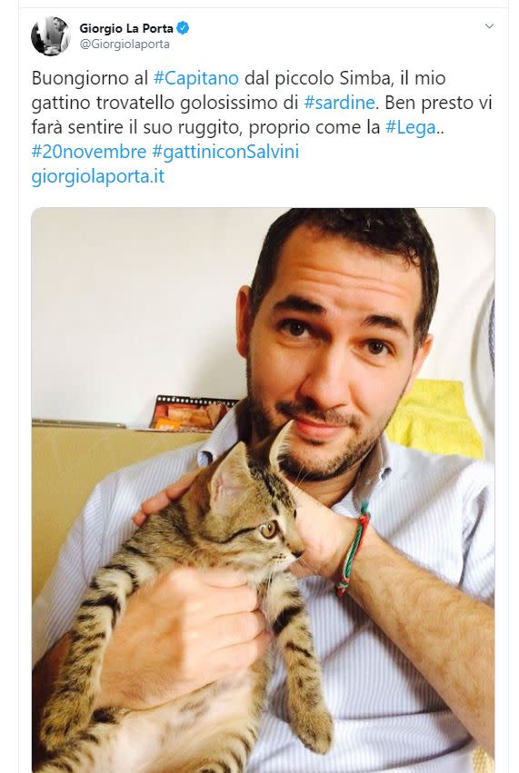 In tanti hanno seguito la proposta del Capitano ripostando l'hashtag seguito da una foto del proprio gatto