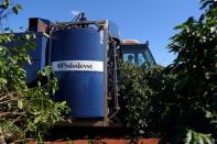 FILE PHOTO: An agricultural machine harvests coffee in a plantation in the town of Sao Joao da Boa Vista