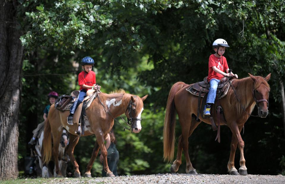 Several summer camps around Greater Cincinnati offer equestrian options.