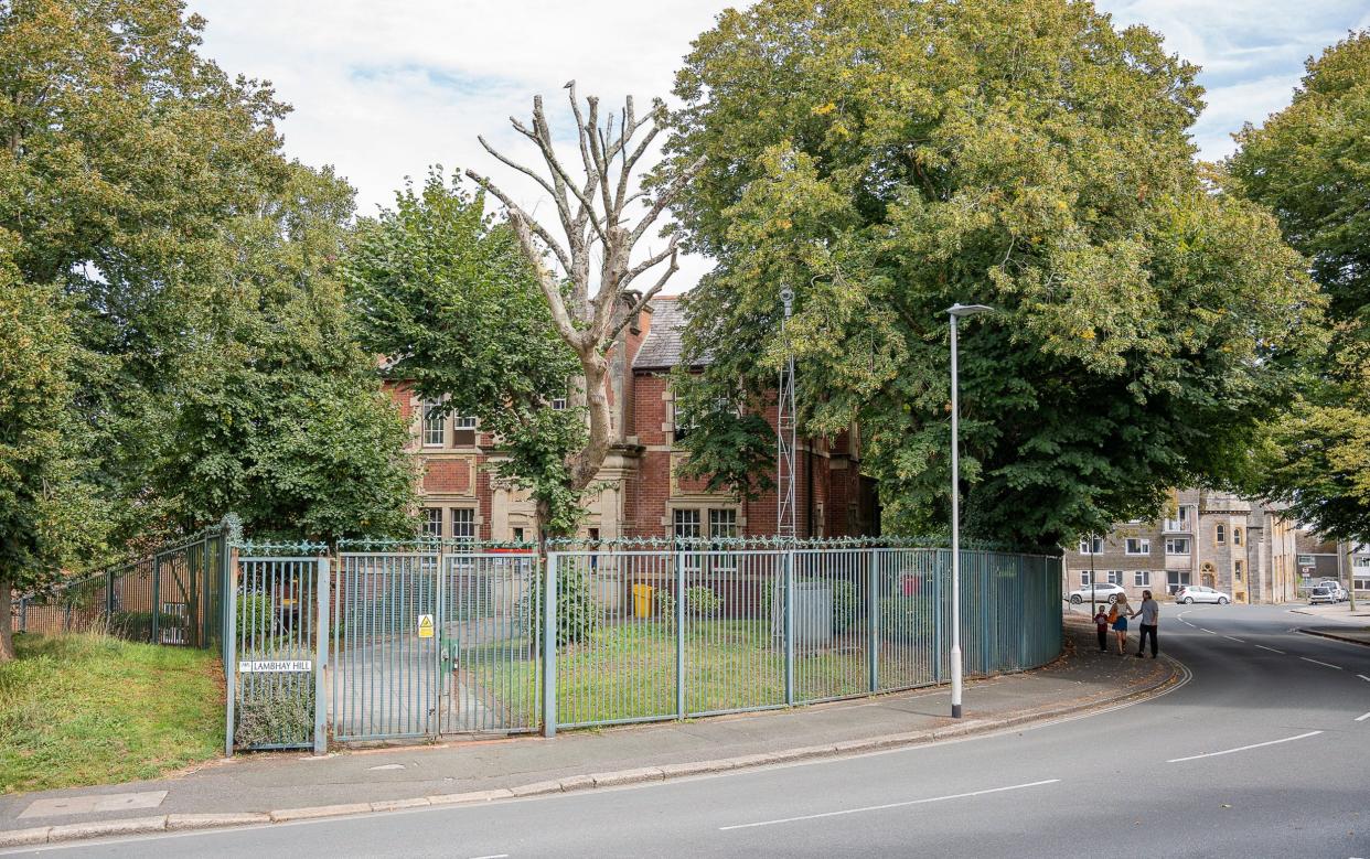 The trees in front of the building