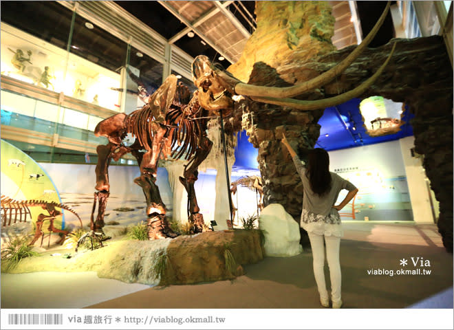 【台南南科景點】樹谷生活科學館～超大的劍齒象化石！有趣又能長知識的博物館！
