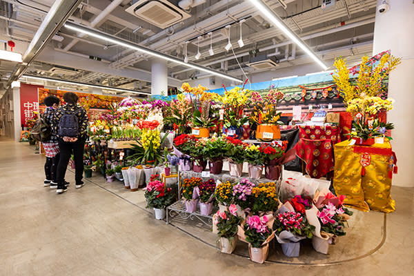 「百花齊放年花市場」展出多款當造盤花、新年必備的蘭花等，讓大家入手心水年花返屋企！