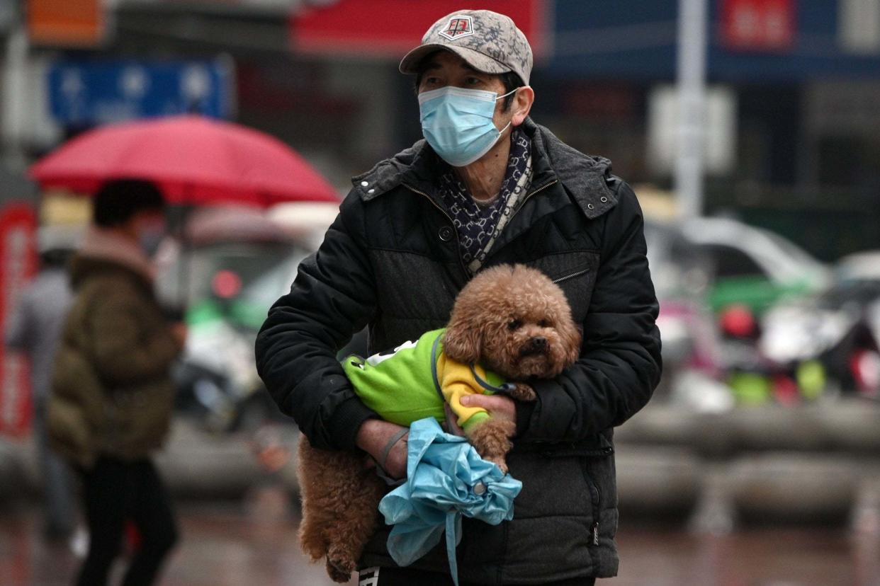 A man wearing a face mask carries his pet dog along a street: AFP via Getty Images