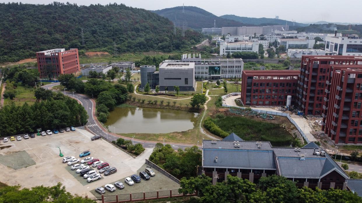 An aerial view of the P4 laboratory on the campus of the Wuhan Institute of Virology in Wuhan, China. 