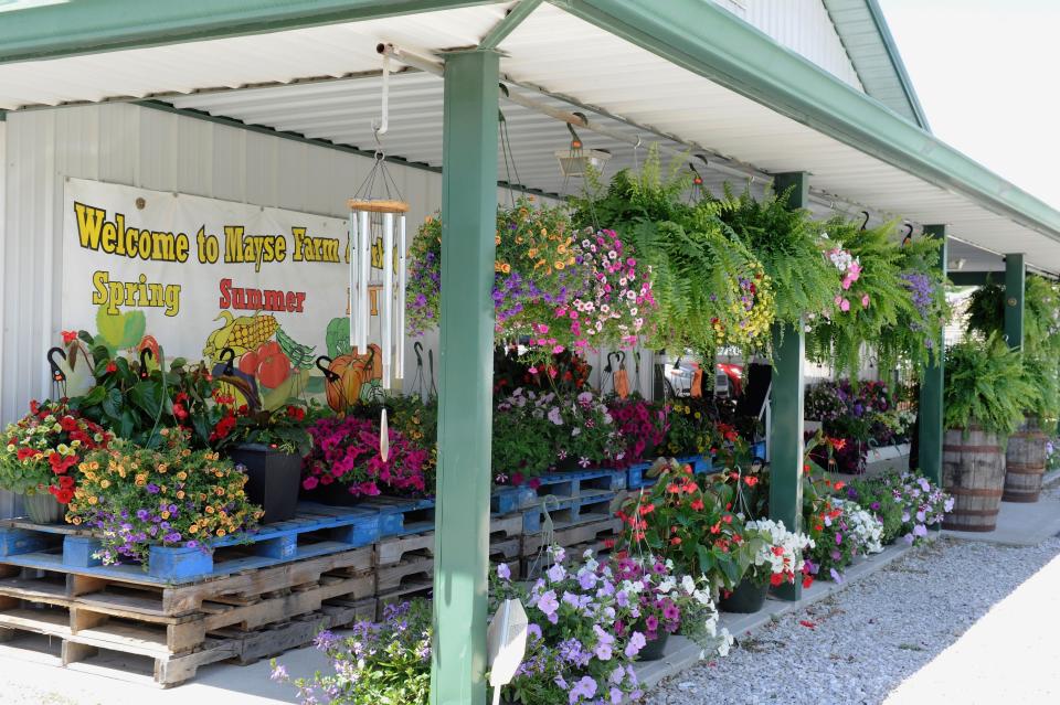 Mayse Farm Market is open for spring shopping