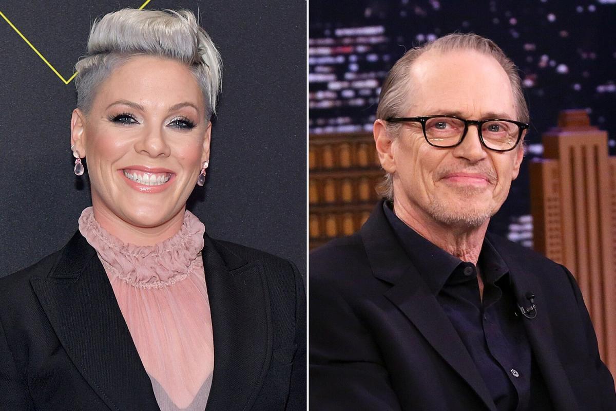 Pink Describes the Awkward Moment When She Met Steve Buscemi