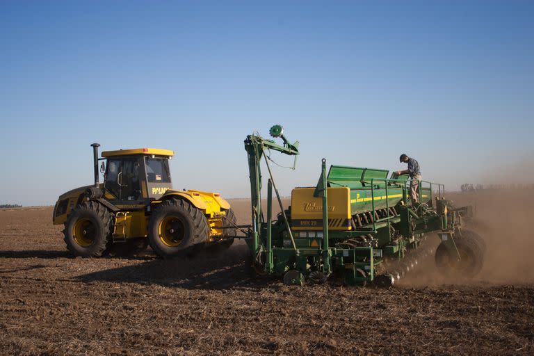 Siembra de maiz Dekalb 72-10-VT-3P en la Estancia San Carlos de la firma SARAEAL S.A. a 12 km de Bengolea, Cordoba. LA NACION / Diego