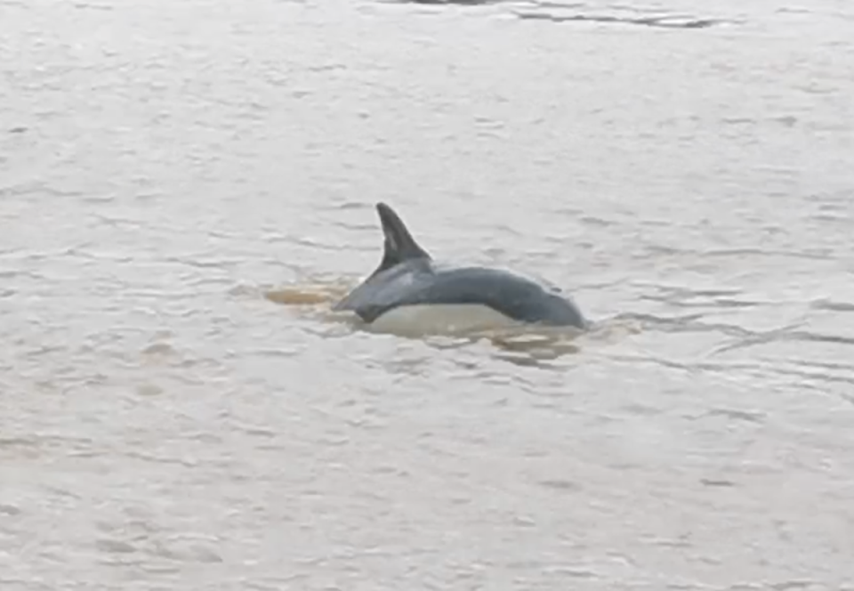 An image captured by the Gravesend RNLI crew on Sunday (RNLI)