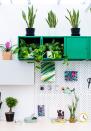 <p>Ikea and Indoor Garden Design has highlighted just how you can harness houseplants for a happier and healthier working environment in Plants Work, an open-plan home-office installation located in the Great Pavilion.</p><p>'I think it is great that we are moving slightly away from the harsh and often angry forms of the cacti and succulents to the more subtle forms of textured green plants like the Begonia Rex, Maranta’s and Monstera,' explains Jonathan. 'Bringing living green plants indoors is perfect to create areas of interior landscapes that are interchangeable and a sustainable source of wellbeing and harmony within the house.'</p>