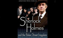 <p>Pryce played the detective in the 2007 children’s drama<em> Sherlock Holmes and the Baker Street Irregulars</em>. It followed the eponymous squad of young children as they investigate the disappearance of several of their members while concurrently trying to stop Holmes from being convicted for murder. </p>