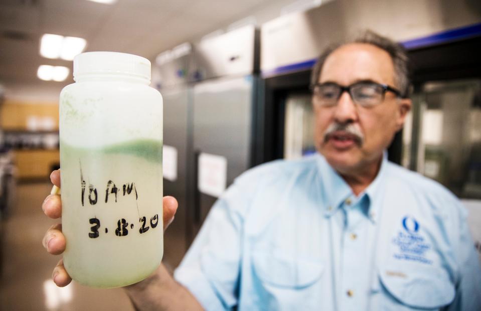 Florida Gulf Coast University professor, Barry Rosen displays an algae sample taken from the Franklin locks on the Caloosahatchee River. He is sought out by officials from all over the country to help them identify algae issues.