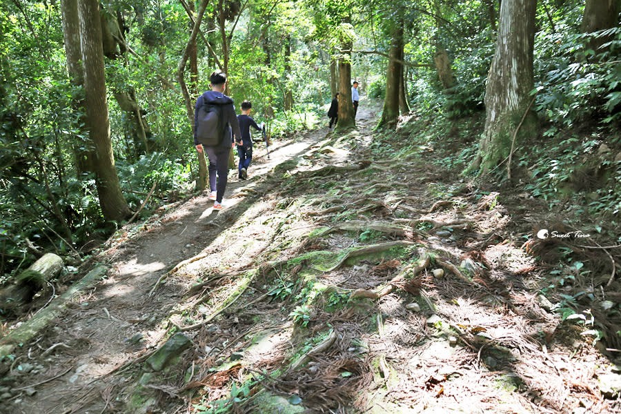 滿月圓國家森林遊樂區