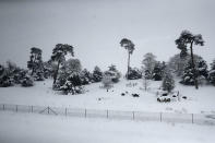 <p>Trees stand after snow covered the landscape in southeast England.Public transport remains widely affected, with many rail operators reporting that disruption will continue throughout Wednesday. (AP Photo/Matt Dunham) </p>