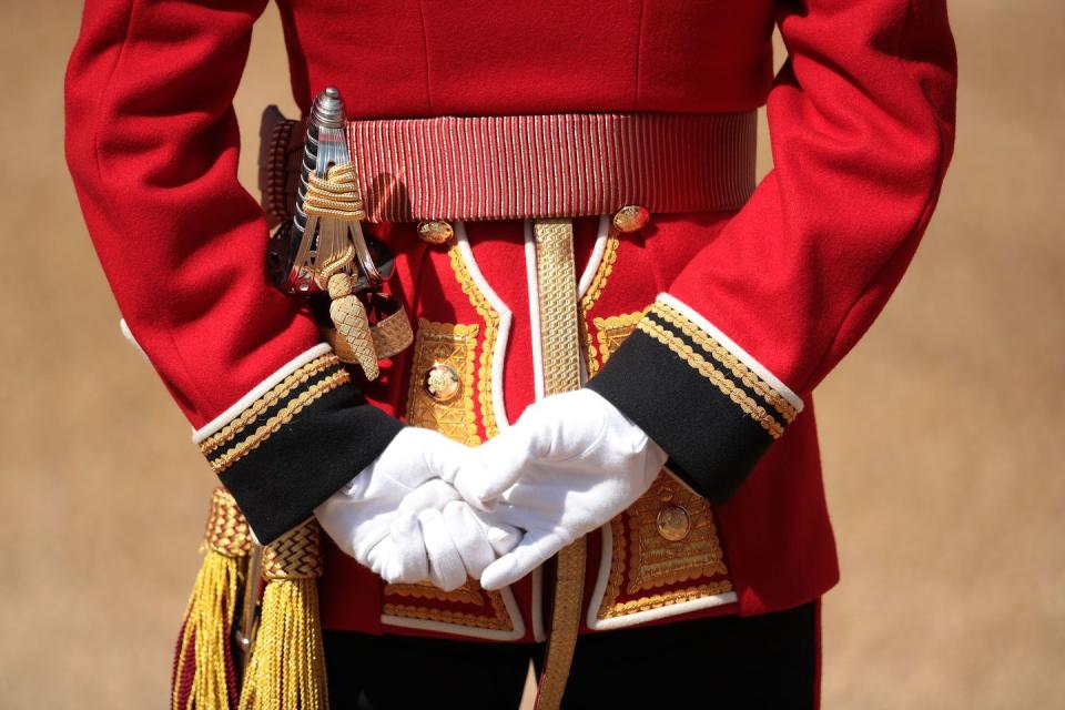 <p>A nice photo of a member of the queen's personal troops, the Household Division at The Royal Horseguards during Trooping The Colour ceremony.</p>