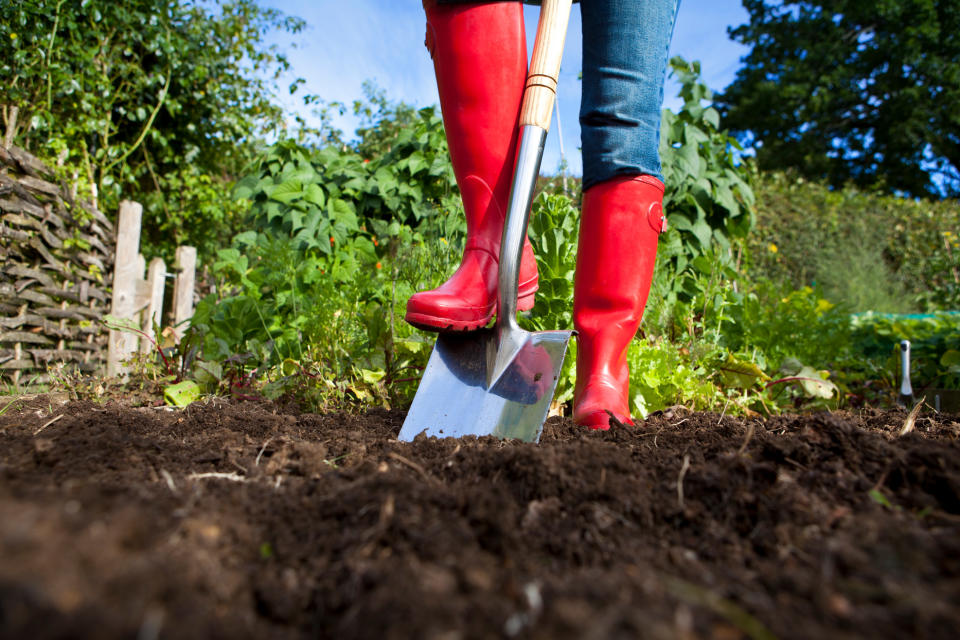 The Best Gardening Shoes, According to the Experts