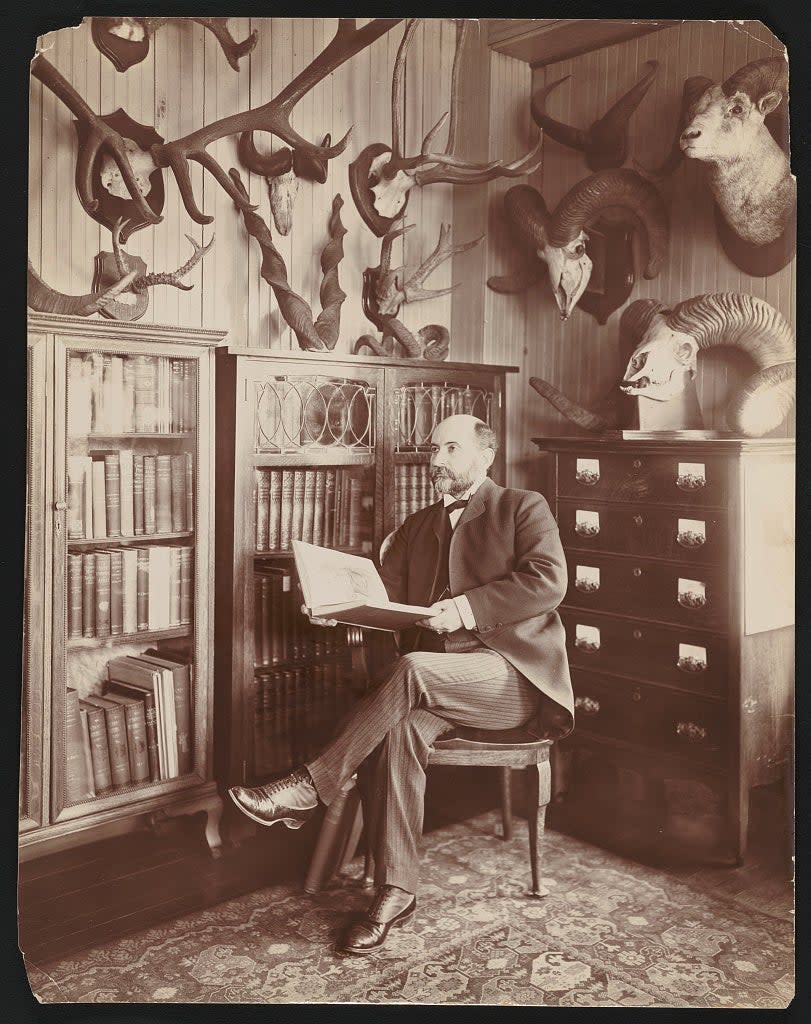 An old black and white photo of William Hornady sitting on a chair in an office with antlers on the wall.