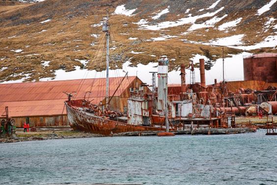 Abandoned boats and buildings at Grytviken whaling station (Getty)