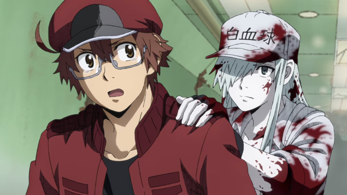 Cells at work, Red blood cell