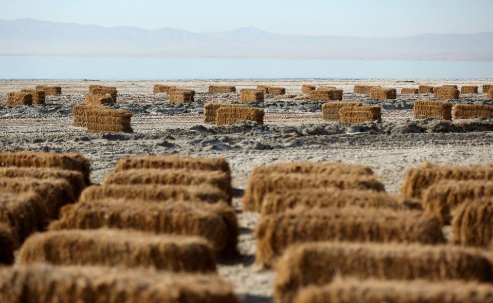 Hay bales used for dust mitigation in a Salton Sea Management Program project are pictured on approximately 68 acres near Bombay Beach, Calif., on Monday, Dec. 11, 2023. Some corresponding seeding to establish vegetation was attempted during last year’s rains, but further planting is on hold until a water source is confirmed. | Kristin Murphy, Deseret News