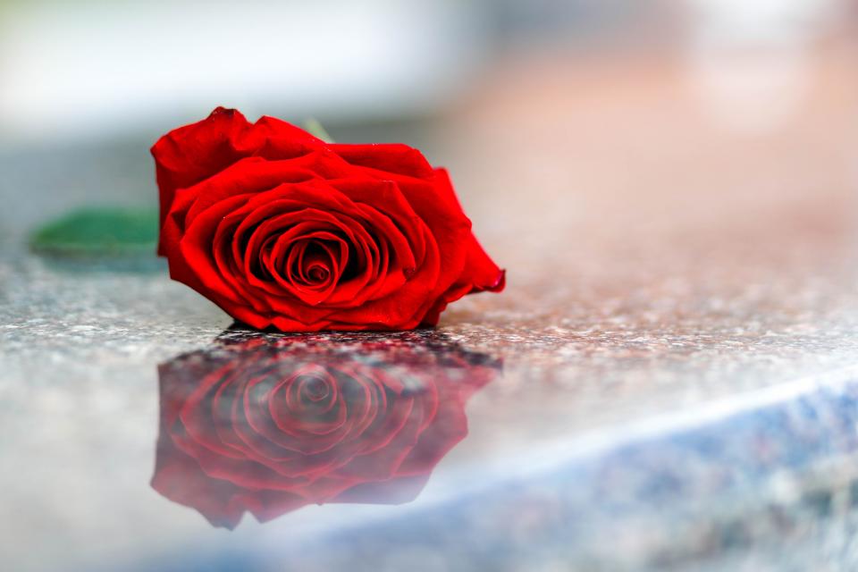 Roses rest on a memorial Friday at Plaza Towers Elementary in Moore.