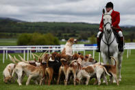 The hunt master and dogs walk the track before racing begins at Punchestown Racecourse in Naas, Ireland, April 27, 2017. REUTERS/Clodagh Kilcoyne