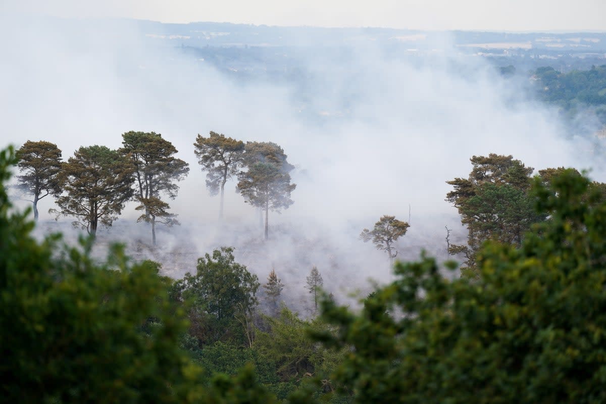 A large wildfire in woodland at Lickey Hills Country Park on the edge of Birmingham (Jacob King/PA) (PA Wire)