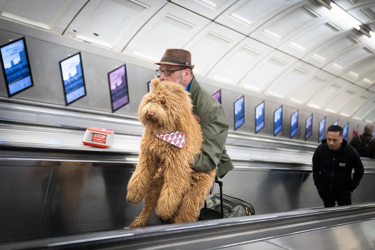 A man carries his dog up an escalator at Liverpool Street Underground Station in London (PA)