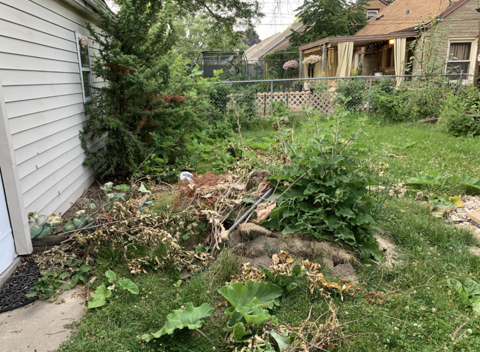 Screenshot of a Reddit post by user Clawncare titled "My lawn is a dumpster fire of weeds, lumps and bad grading. Do you guys have any tips for someone totally ignorant to what to do?" with comments and upvotes