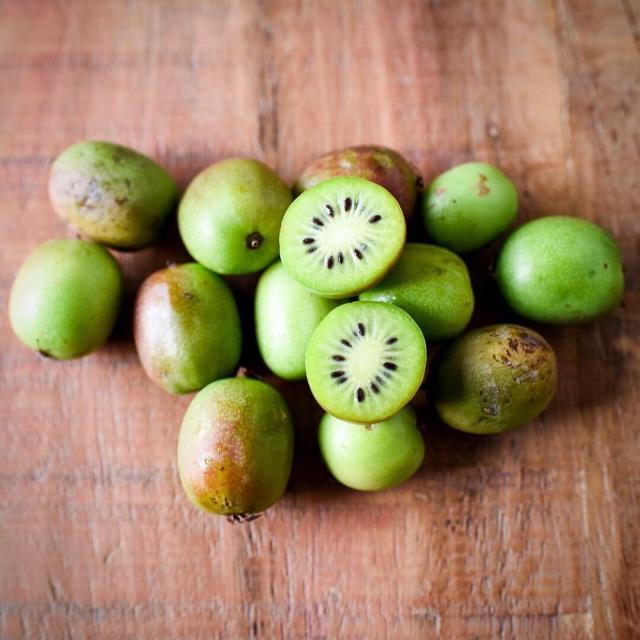 Kiwi Seeds Kiwi Berry Kiwi Fruit Organic Fruit Seeds - TonySeeds