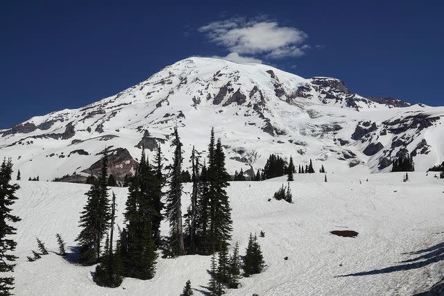 <p>Thomas O'Neill/NurPhoto via Getty Images</p> Mount Rainier in 2022