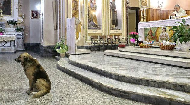 Tommy at Santa Maria Assunta church (Nikonarte Fotografia/Daily Mail)