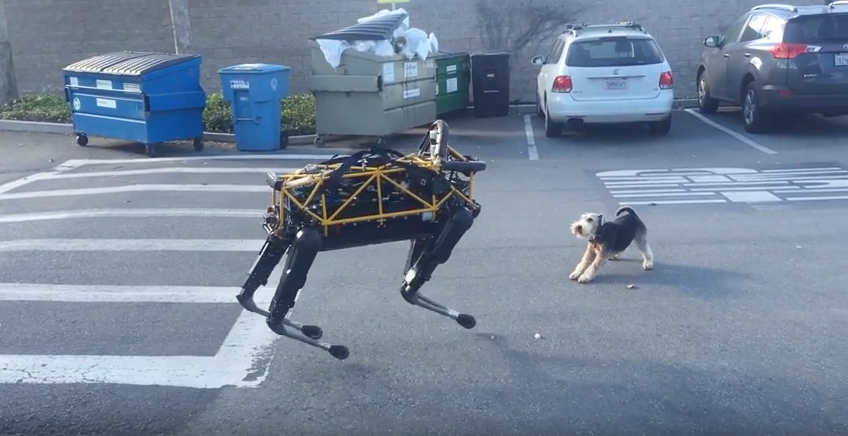 Spot robot dog against Fido