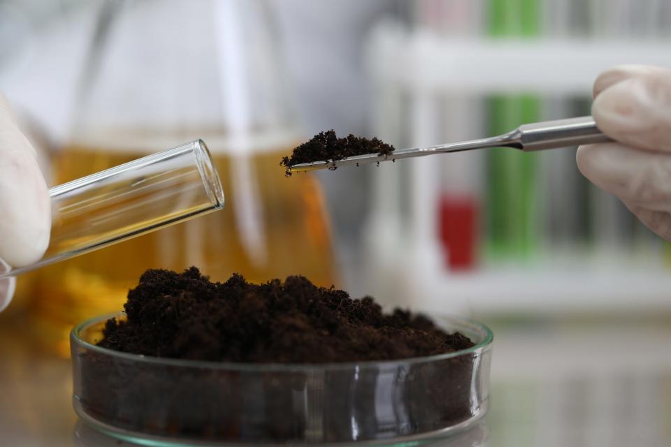 A person in a lab conducting a test on some dark substance.